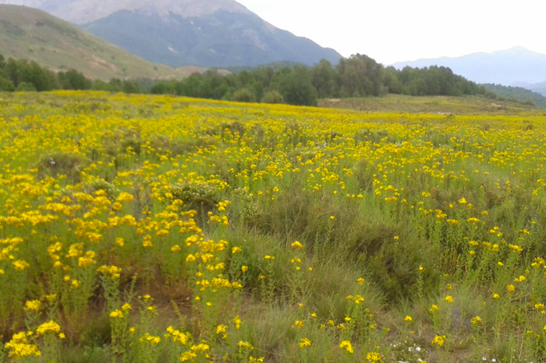 Latest Products Image