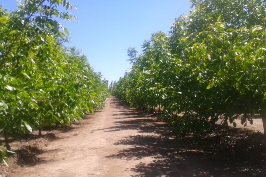 Latest Products Image