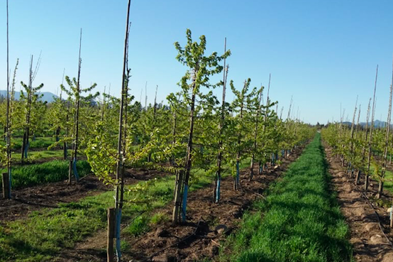 Latest Products Image